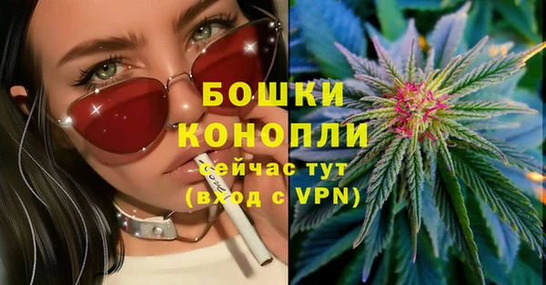 дмт Горнозаводск