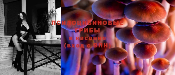 МДПВ Вязники