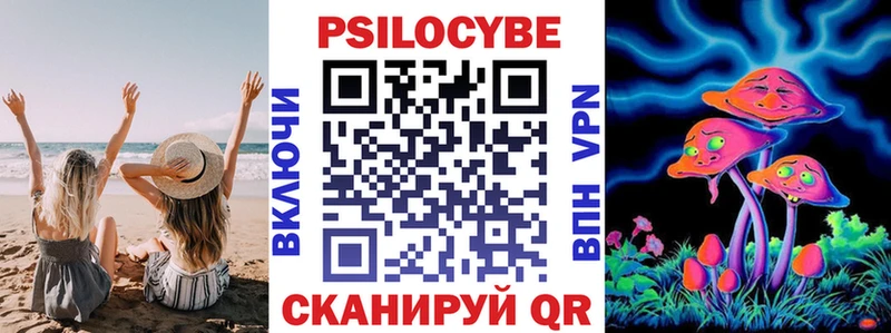 где продают наркотики  Заволжье  Галлюциногенные грибы Cubensis 